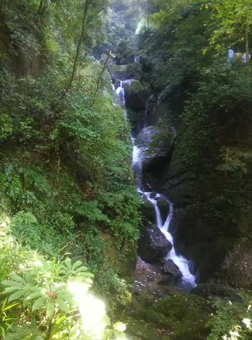 铜奖:青山绿水(作者:宋龙梅) 铜奖:青山绿水(作者:宋龙梅)
